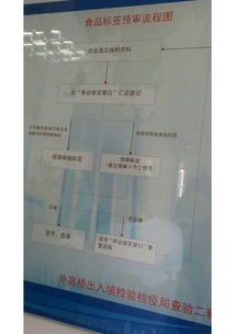 上海代理新西蘭果汁進口清關與進出口代理服務全解析