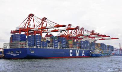 廣州南沙報關行 專注海運進出口報關報檢與代理服務的專業選擇